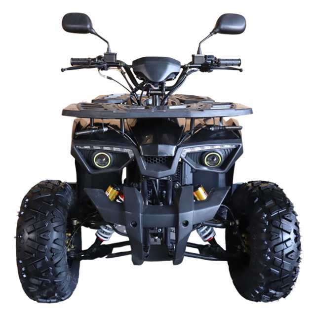 バギー 四輪 49cc ATV KW 4サイクルエンジン搭載 RZ-G4-49 アウトレット 公道の通販はau PAY マーケット - Exect  Familiar | au PAY マーケット－通販サイト