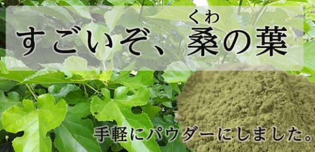 年間定番 桑の葉 ad-naturam.fr