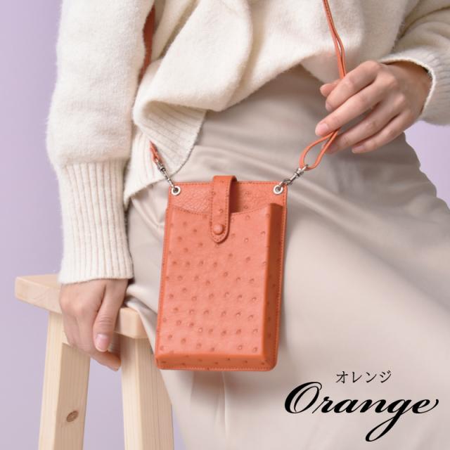 新作 スマホポシェット 本革 ミニショルダー レディース オーストリッチ レザー 斜めがけ 携帯 スマホショルダー 箱型 BOX 軽量 薄型 スマホポーチ 縦型 革 iphone スマホ収納 カードケース付き 大人 女性 婦人 人気 風水 母の日 ギフト 送料無料 新作 スマホポシェット 本革 ミニショルダー レディース