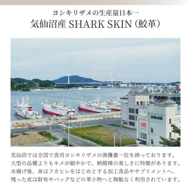 新作 ハンドバッグ レディース 日本製 シャークスキン 気仙沼産 レザー 本革 フォーマルバッグ かぶせ 鮫革 2way 金具 横型 セレモニーバッグ 軽い 小さめ サメ革 シャーク ブラック 黒色 上品 手提げ カバン 国産 冠婚葬祭 葬儀 弔事 法事 女性 婦人 人気 送料無料_8