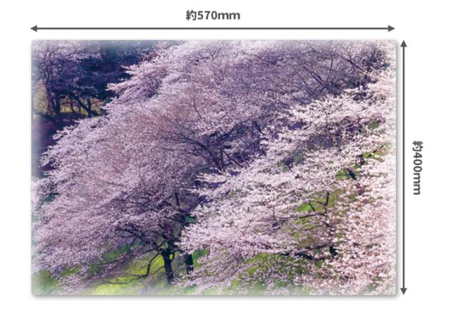 おふろポスター マグネットシート製 宅急便限定 桜土手の通販はau Pay マーケット マグネットパーク Au Pay マーケット店