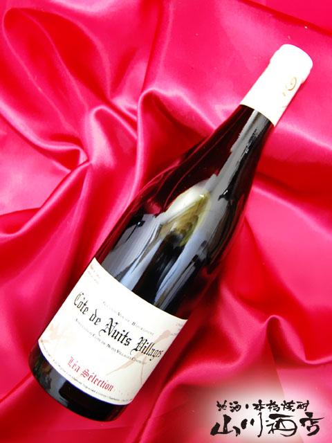 フランス 赤ワイン  コート ド ニュイ 750ml   ルー デュモン レアセレクション 仲田晃司  商品番号 4350_1