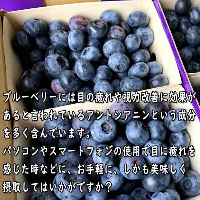 ブルーベリー　1.0kg 無農薬栽培　クール便　化粧箱入