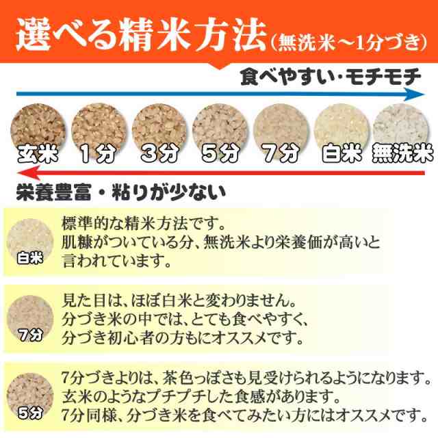 送料無料　山形県産　PAY　お米　東北の農産特産品アグリパートナー　新米予約　au　玄米　米　10kg　令和5年度　（10kg袋×1)　マーケット－通販サイト　あきたこまち　白米・無洗米・分づきの通販はau　マーケット　PAY