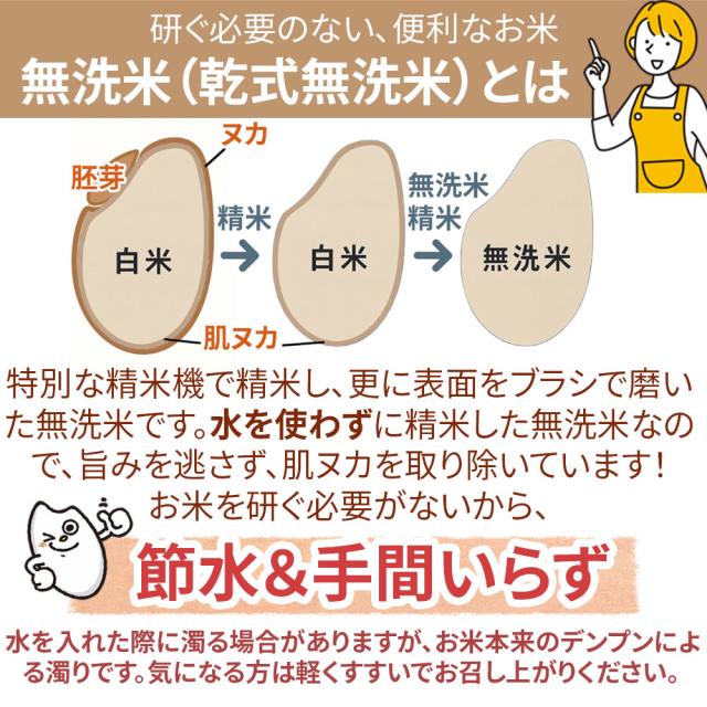 米 お米 30kg (10kg袋×3) はえぬき 玄米 令和7年度産 山形県産 送料無料 白米・無洗米・分づき 置き配可_6