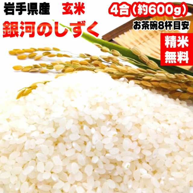 米 お米 銀河のしずく 600g 4合 令和4年産 岩手県産 お米 白米 無洗米