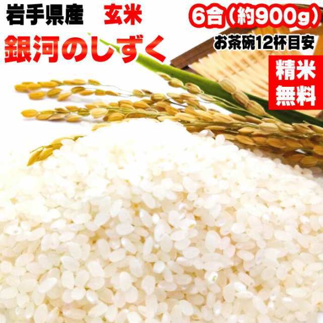 新米 米 お米 銀河のしずく 900g 6合 令和5年産 岩手県産 お米 白米 無