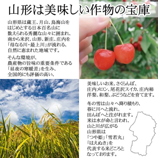 米 お米 30kg (10kg袋×3) はえぬき 玄米 令和7年度産 山形県産 送料無料 白米・無洗米・分づき 置き配可_3