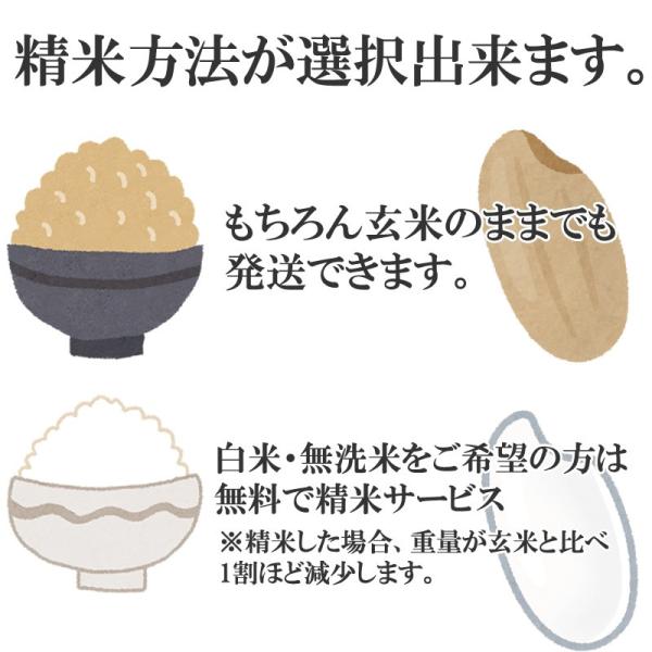 米 ブレンド米 玄米30kg 白米 27kg 無洗米 27kg (30kg袋×1) 国産 送料無料 徳用 お試し 業務用 訳あり ご家庭用 令和7年度 当日精米 置き配可_6