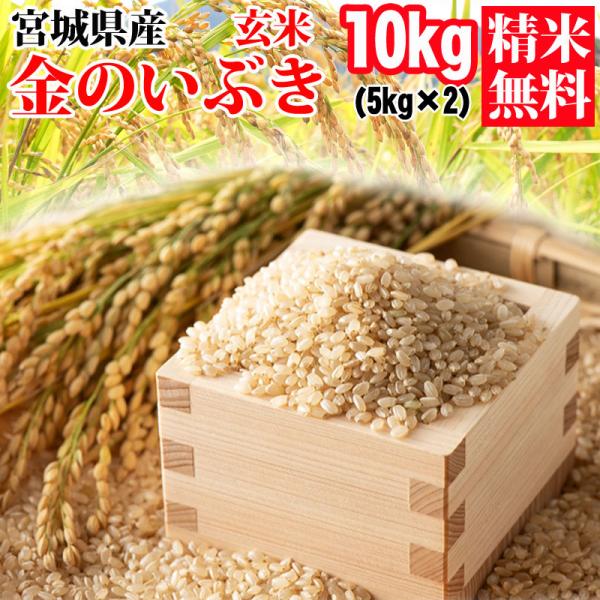 米 玄米 10kg (5kg×2袋) 金のいぶき 令和6年産 宮城県産 送料無料の通販は