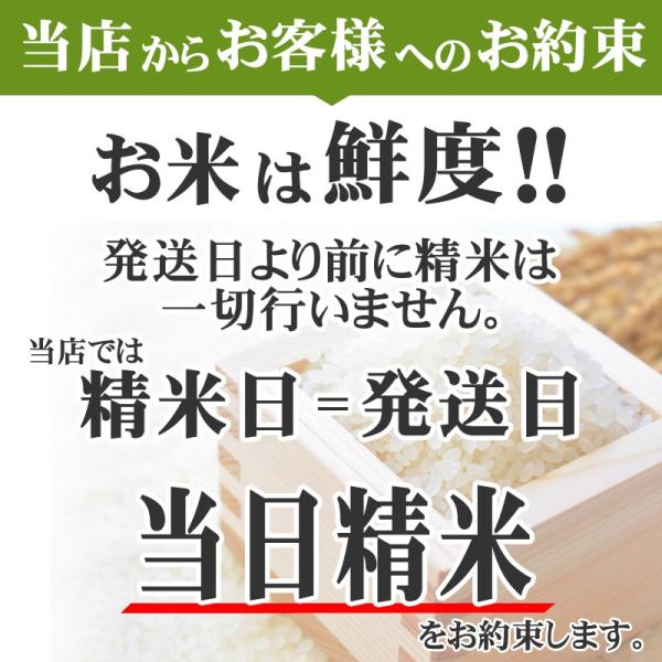 米 お米 ミルキークイーン 玄米30kg 令和7年産 山形産 白米・無洗米・分づきにお好み精米 送料無料 当日精米 置き配可_4