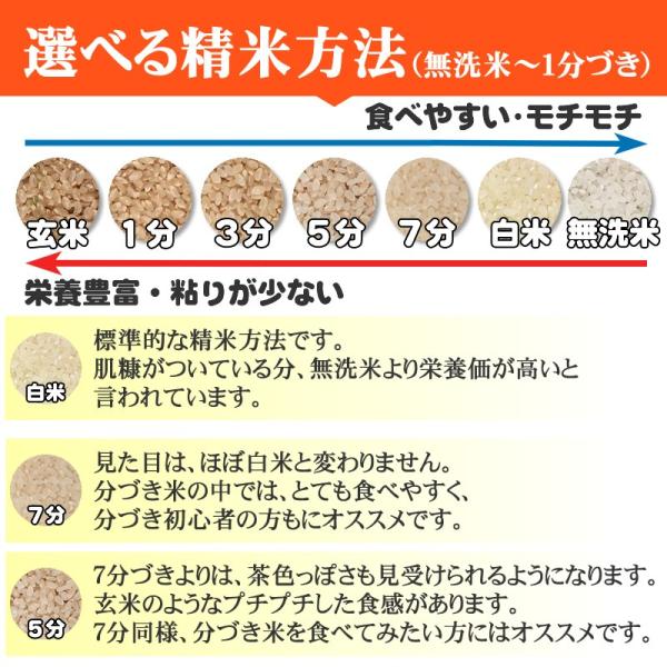 米 お米 ミルキークイーン 玄米30kg 令和7年産 山形産 白米・無洗米・分づきにお好み精米 送料無料 当日精米 置き配可_8