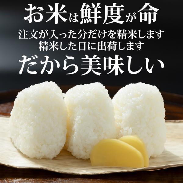 米 玄米 20kg ひとめぼれ 10kg×2袋 令和7年産 宮城県産 精米無料 白米 無洗米 当日精米 送料無料 置き配可_2