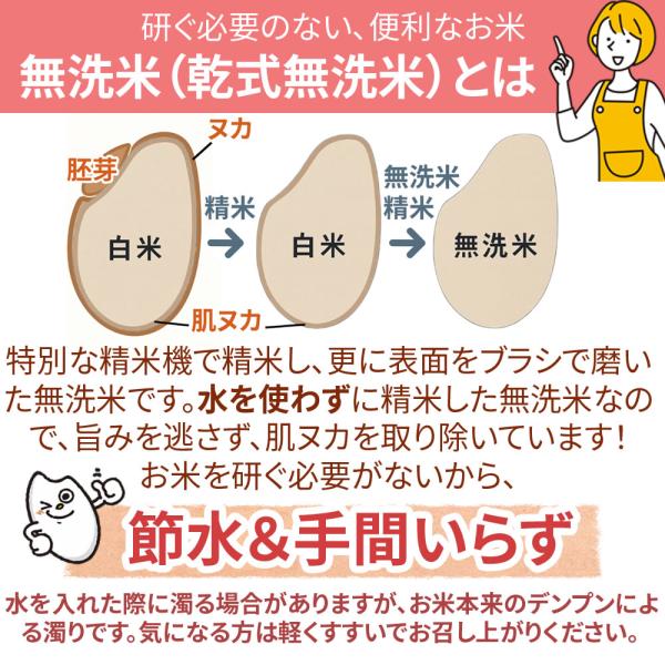 米 玄米 20kg ひとめぼれ 10kg×2袋 令和7年産 宮城県産 精米無料 白米 無洗米 当日精米 送料無料 置き配可_3