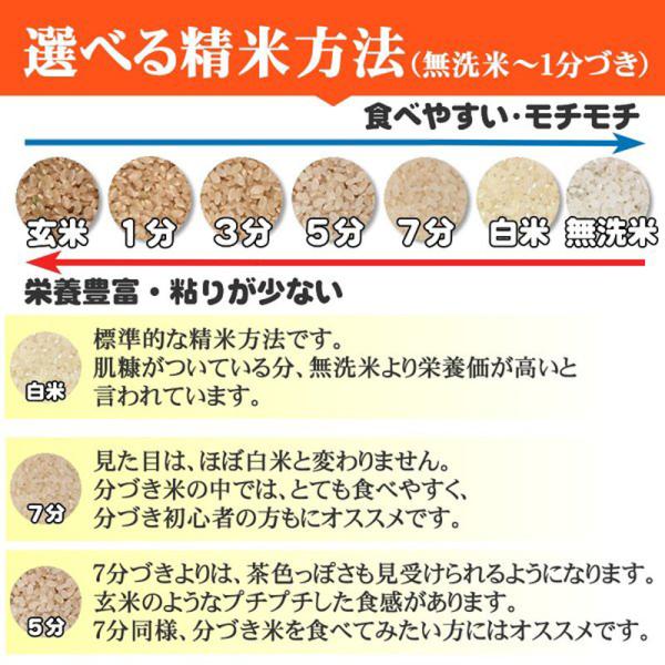 米 玄米 20kg ひとめぼれ 10kg×2袋 令和7年産 宮城県産 精米無料 白米 無洗米 当日精米 送料無料 置き配可_4