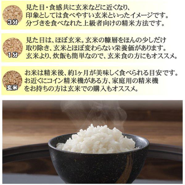 米 玄米 20kg ひとめぼれ 10kg×2袋 令和7年産 宮城県産 精米無料 白米 無洗米 当日精米 送料無料 置き配可_5
