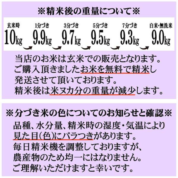 米 玄米 20kg ひとめぼれ 10kg×2袋 令和7年産 宮城県産 精米無料 白米 無洗米 当日精米 送料無料 置き配可_6