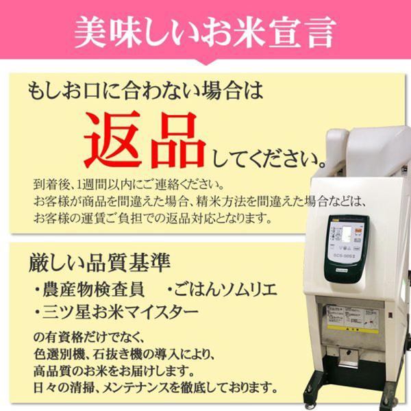 米 玄米 20kg ひとめぼれ 10kg×2袋 令和7年産 宮城県産 精米無料 白米 無洗米 当日精米 送料無料 置き配可_7