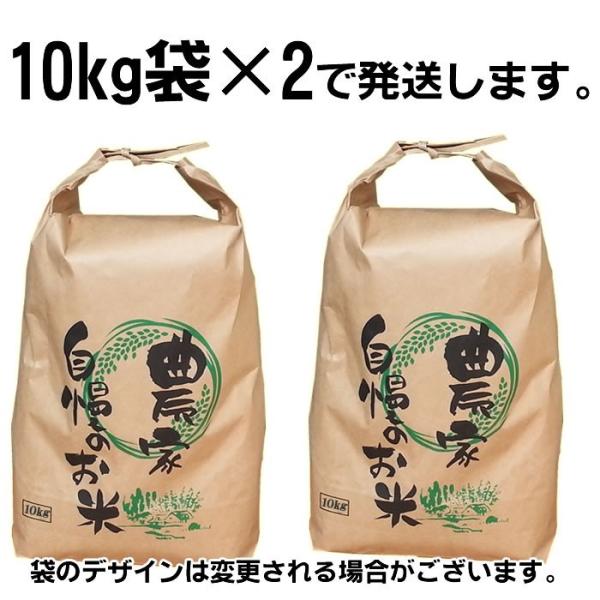 米 お米 10kg×2 ササニシキ 玄米20kg 令和7年産 山形産 白米・無洗米・分づきにお好み精米 送料無料 当日精米 置き配可_1