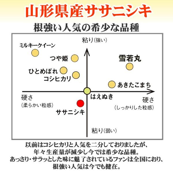 米 お米 10kg×2 ササニシキ 玄米20kg 令和7年産 山形産 白米・無洗米・分づきにお好み精米 送料無料 当日精米 置き配可_4