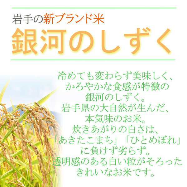 新米 米 お米 5kg×6 銀河のしずく 玄米30kg 令和5年産 岩手県産