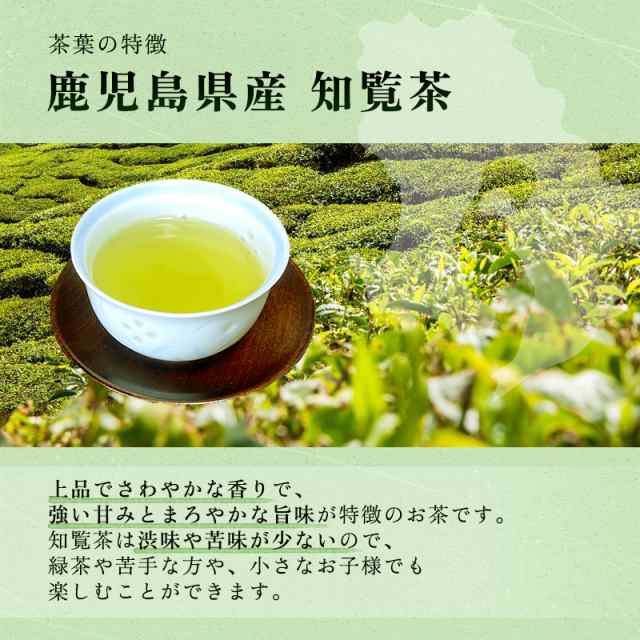 数量限定・即納特価!! 特選 知覧茶 600g 大容量 緑茶 通販
