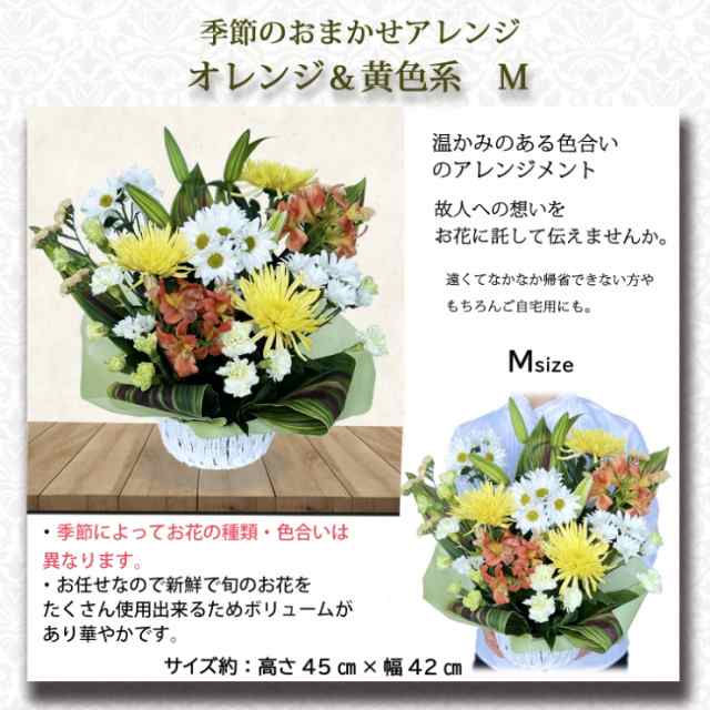 返品送料無料】 お供え 花 おまかせ アレンジメント M お中元 生花 お悔やみ 季節の 白 黄色 オレンジ ピンク 青 ブルー 命日 お彼岸 お盆  法事 法要 進物用 ギフト アレンジ フラワーギフト 送料無料 lojavirtualeffamotors.com