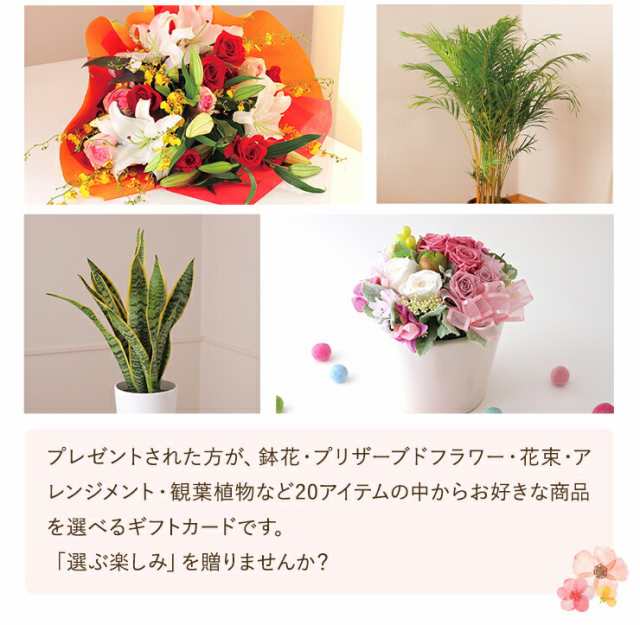 カタログギフト アクイユ カトレアコース かすみコース 花 花ギフト フラワー ギフト プレゼント 選べるギフト チョイスギフト チョイスの通販はau  PAY マーケット - 花のギフト社OnlineShop | au PAY マーケット－通販サイト