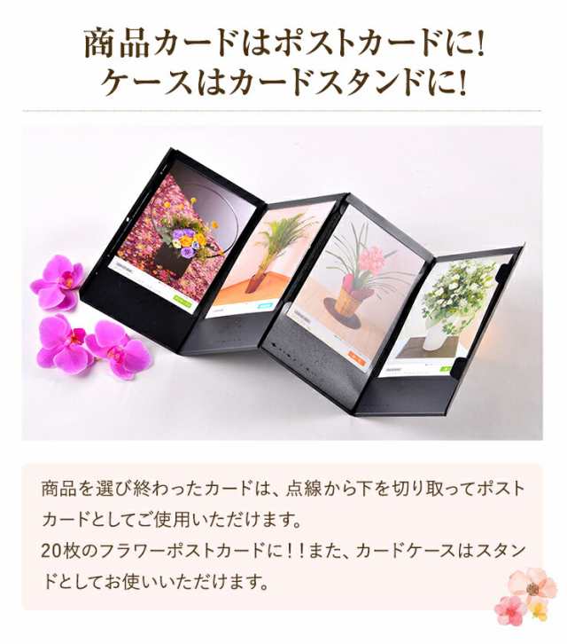 カタログギフト アクイユ カトレアコース かすみコース 花 花ギフト フラワー ギフト プレゼント 選べるギフト チョイスギフト チョイスカタログ  ギフトカタログ