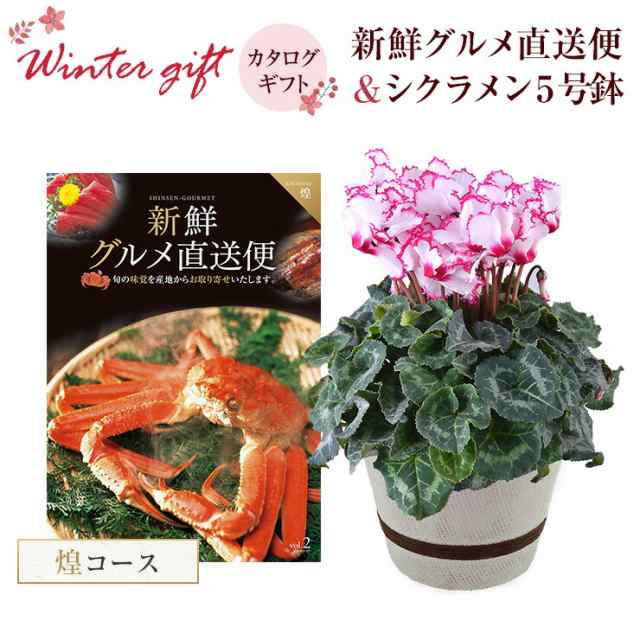 シクラメン 鉢植え 花 ギフト プレゼント カタログギフト 新鮮グルメ直送便 煌コース お花 ビクトリア 5号鉢 鉢花 花鉢 しくらめん 東北の通販はau Pay マーケット 花のギフト社onlineshop