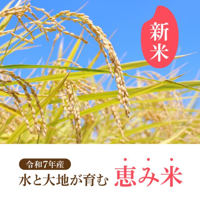決定　令和7年産　にじのきらめき　玄米　1袋30kg 米 30kg 玄米 令和7年 新米 コシヒカリ にじのきらめき 30キロ 栃木県