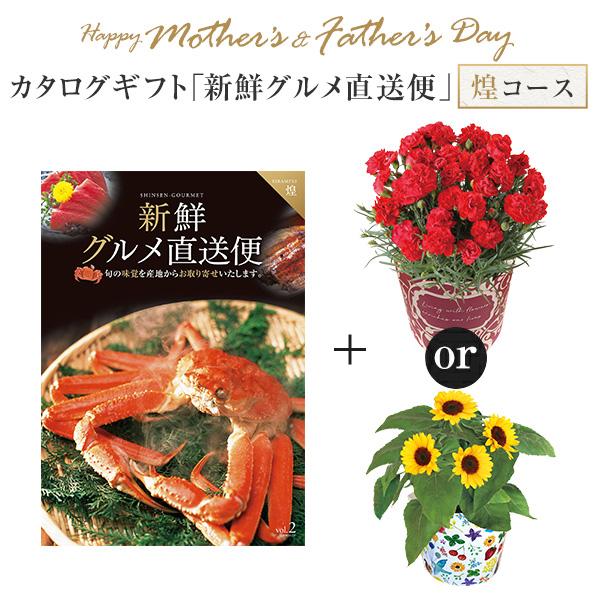 母の日 カーネーション 父の日 ひまわり カタログギフト 新鮮グルメ直送便 煌コース ギフト プレゼント 花 5号鉢 鉢植え 東北〜関東〜関西送料無料 黒毛和牛 すき焼き イブ美豚 ズワイ蟹 ハタ ステーキ 毛蟹 まぐろ カレー うなぎ 米 魚卵 夢ポークの通販は