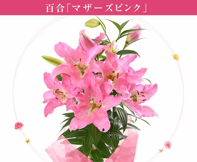 母の日 ギフト プレゼント 花 鉢植え カーネーション 百合 マダガスカルジャスミン ダリア メリーベル 東北 関東 関西送料無料 9種類かの通販はau Pay マーケット 花のギフト社onlineshop