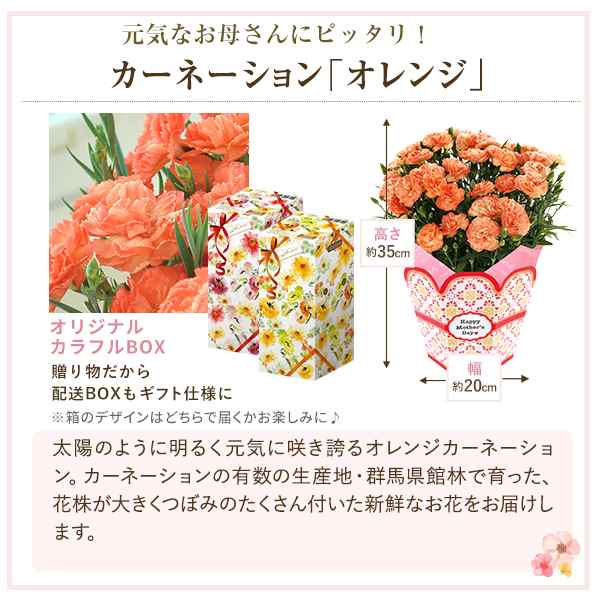 母の日 ギフト プレゼント 花 鉢植え カーネーション 百合 ガーデニア 東北 関東 関西送料無料 9種類から選べるお花 母の日プレゼント の通販はau Pay マーケット 花のギフト社onlineshop