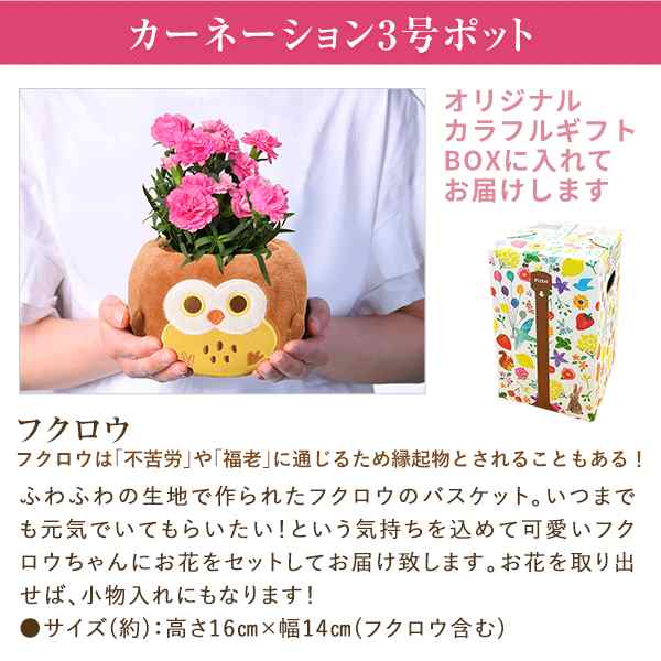 母の日 ギフト プレゼント 花 鉢植え カーネーション 百合 ガーデニア 東北 関東 関西送料無料 9種類から選べるお花 母の日プレゼント の通販はau Pay マーケット 花のギフト社onlineshop