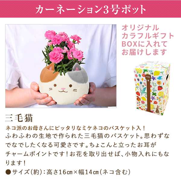 早割10 Off 母の日 ギフト プレゼント 花 鉢植え カーネーション 百合 ガーデニア 東北 関東 関西送料無料 9種類から選べるお花 母のの通販はau Pay マーケット 花のギフト社onlineshop