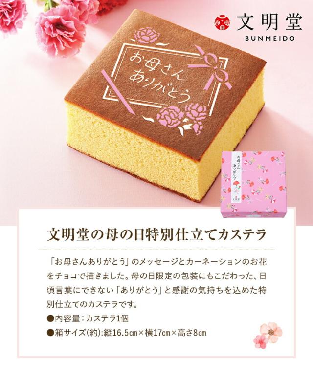 母の日 ギフト プレゼント 花とスイーツ セット 花 カーネーション 鉢植え 5種から選べるお菓子 文明堂 カステラ 烏骨鶏 かすていら いちの通販はau Pay マーケット 花のギフト社onlineshop