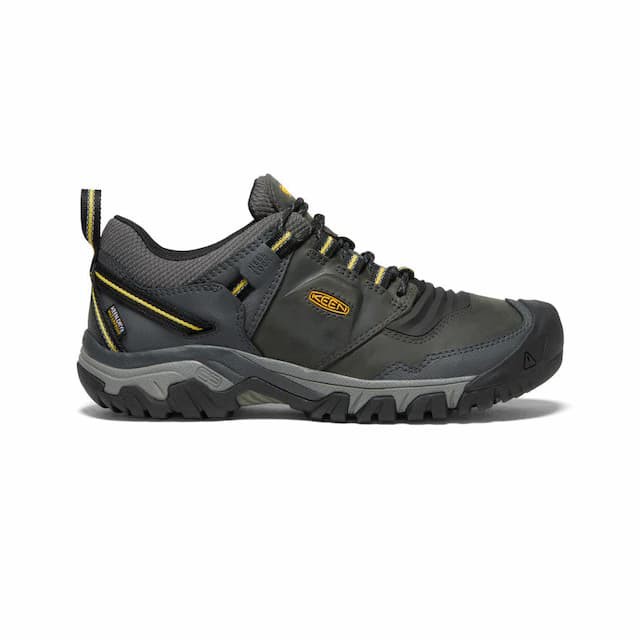 KEEN キーン リッジ フレックス ウォータープルーフ RIDGE FLEX WP