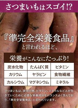 干し芋 国産 茨城 紅はるか 1kg 4箱 干しいも ほしいも 無添加 和菓子 ギフト お菓子 送料無料 スイーツ さつまいも お取り寄せ 標準_6
