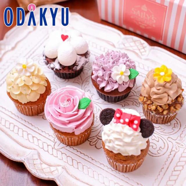 【フレック】 ショートケーキ 85G 6食入 冷凍 3セット フレック】 ショートケーキ 85G 6食入 冷凍