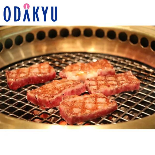 お取り寄せ グルメ 送料無料 ［ 飛騨牛専門店 肉のひぐち ］ 飛騨牛 焼肉用 HY-10K ｜7-10日程度届※沖縄・離島届不可の通販は 7,992円