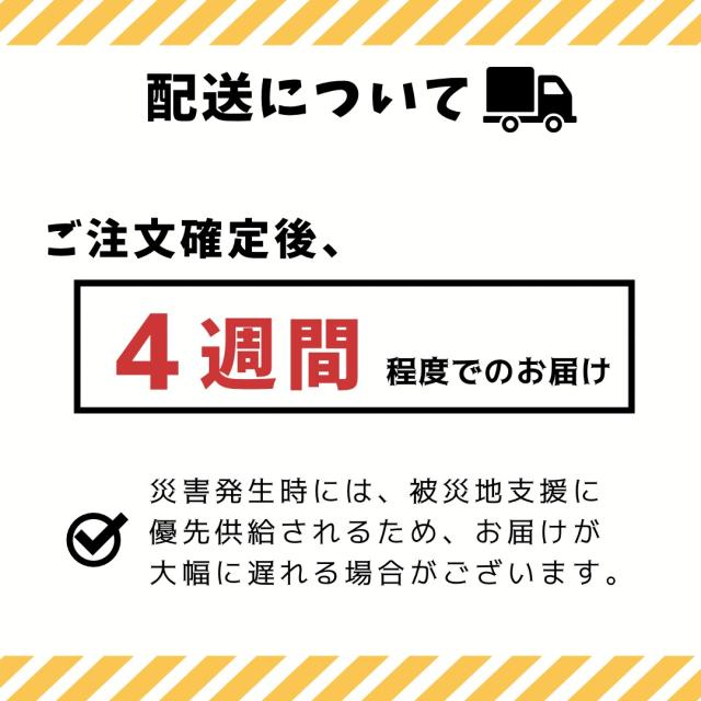 防災 防災セット 送料無料 ［ 杉田エース ］ ＭＩＮＩＭ＋ＡＩＤ ＢＬ／Ｇ ｜注文後、4週間程度でのお届け予定(直)