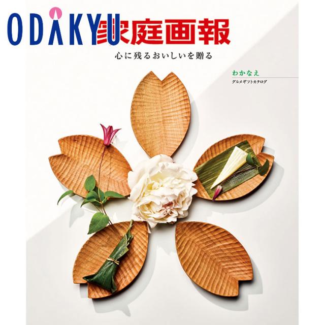 カタログギフト 百貨店 家庭画報 グルメギフトカタログ わかなえ ｜ 内祝い お返し 香典返し お礼 送料無料 ※7-10日程度届(直)