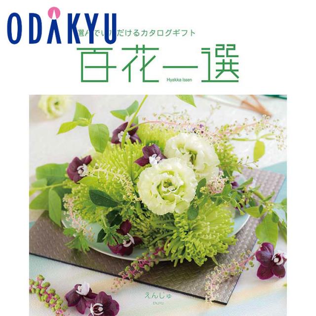 カタログギフト 送料無料 百貨店 インテリア 雑貨 リンベル 百花一選 えんじゅ※約7-10日届(A)