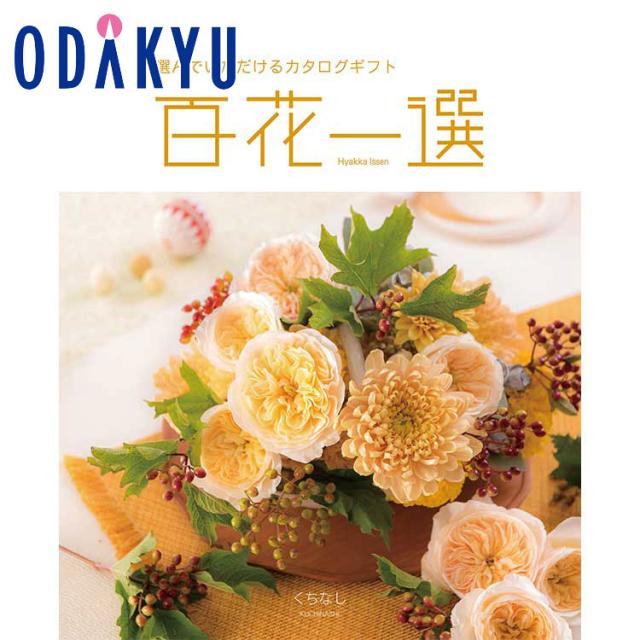 カタログギフト 送料無料 百貨店 インテリア 雑貨 リンベル 百花一選 くちなし ※約7-10日届(A)