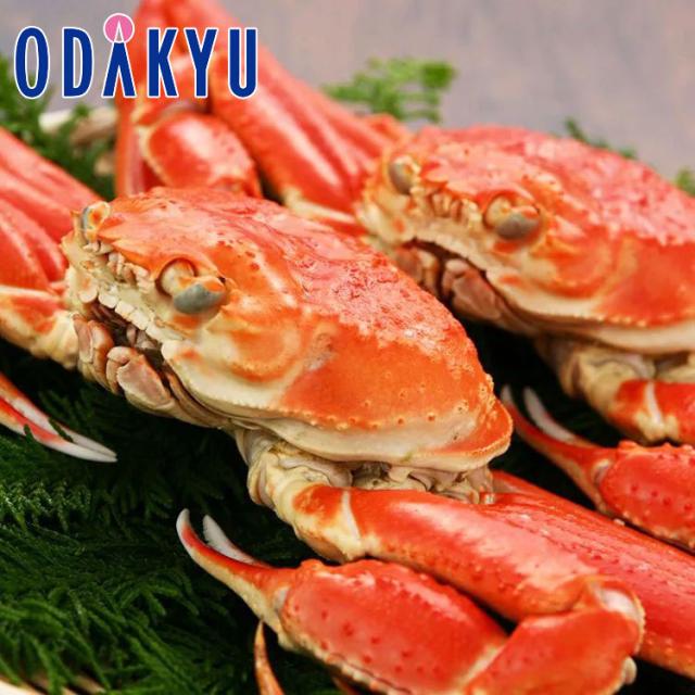 お取り寄せ ごちそう 産地直送 送料無料 ずわい蟹 ｜7-10日程度でのお届け※沖縄・離島へは届不可(直)