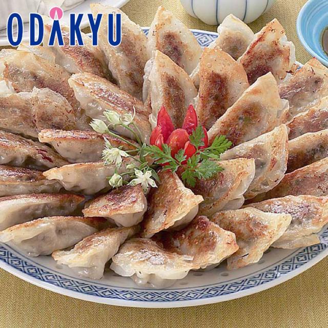 お取り寄せ 送料無料 ［ 鹿児島ますや ］ 古来鹿児島の黒豚 短鼻豚 無添加 焼き餃子 ｜7-10日程度届※沖縄・離島届不可(直)