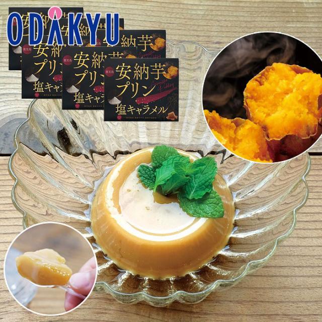 産地直送 送料無料 ［ 薩摩川内市観光物産協会 ］ 安納芋プリン 4個入 × 6箱 ｜約7-10日届※沖縄・離島届不可