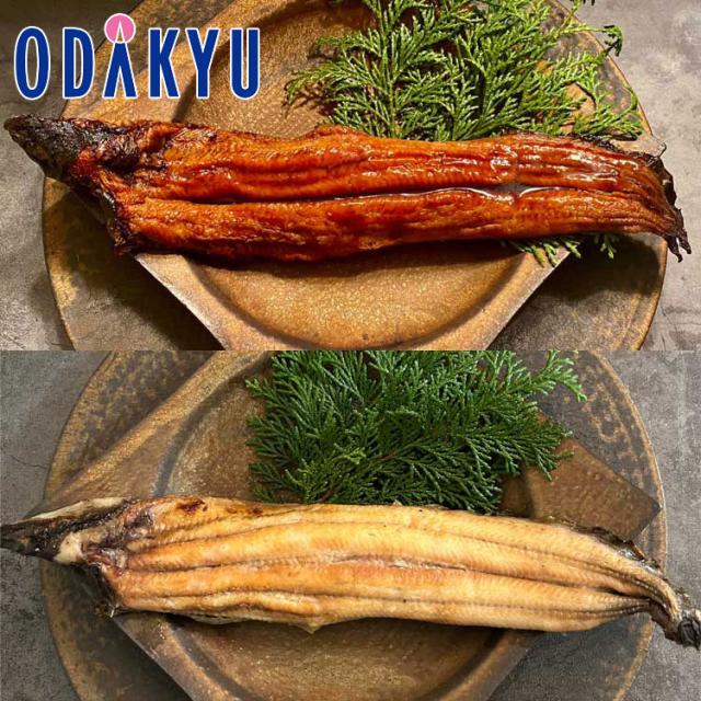 お取り寄せ ごちそう 産地直送 送料無料 ［ れいわ水産 ］ 美陵鰻 3尾 蒲2・白1の紅白セット ｜7-10日程度でのお届け※北海道・沖縄・離島へは届不可(直)