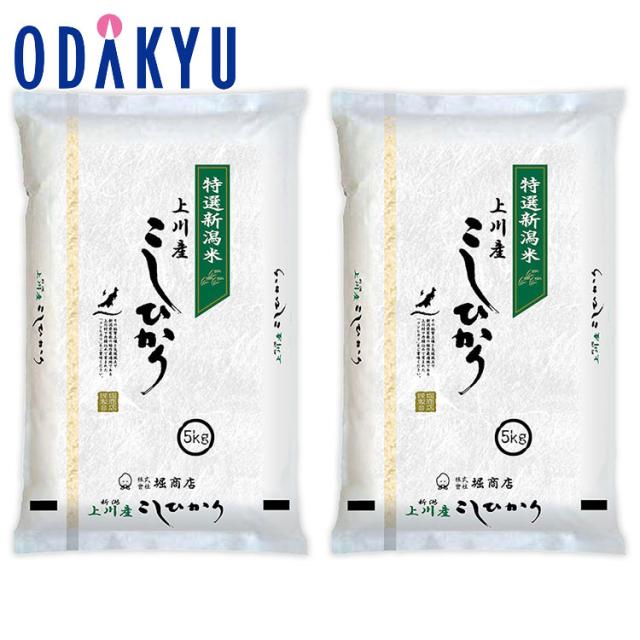 お米 令和 7年産 送料無料 ［ 堀商店 ］ 上川コシヒカリ 短冊 10kg ｜7-10日程度でのお届け※沖縄・離島へは届不可(直)